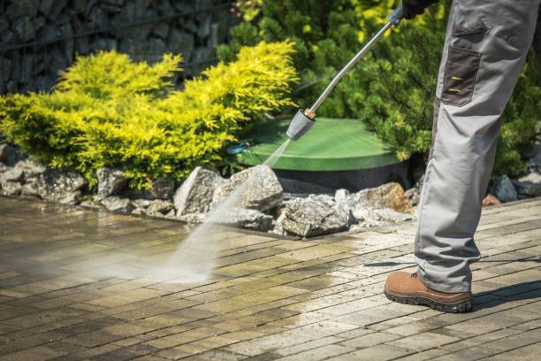 Trusted Edinburg, VA Pressure Washing Services Experts